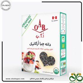تصویر دانه چیا ارگانیک OAB 
