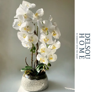 تصویر فروشگاه دل سو هوم