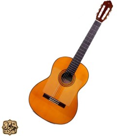 تصویر گلپیدور مدل فندر 