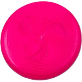 تصویر فریزبی مبتدی برند: