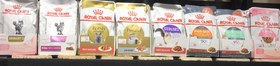 تصویر پوچ گربه رویال کنین - بریتیش ROYAL CANIN