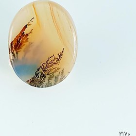 تصویر نگین شجر منظره دار خاص و کلکسیونی - کد 2170 