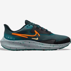 تصویر کفش دویدن طبیعت اورجینال برند Nike مدل Air Zoom Pegasus 39 Shield 