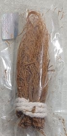 تصویر ریشه جنسینگ قرمز 