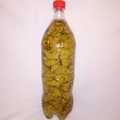 تصویر توجه توجه برگ مو امسالی 1404 موجود شد. برگ شور مو متوسط. برگ دلمه یک کیلویی . تازه و جوان و بهداشتی و عالی 