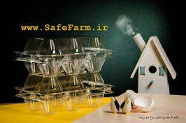 تصویر ظرف تخم مرغ دو زرده 6 عددی 