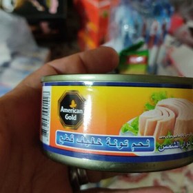 تصویر کنسرو ماهی 160 گرمی امریکن گلد تولید تایلند 