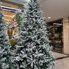 تصویر درخت کاج کریسمس 