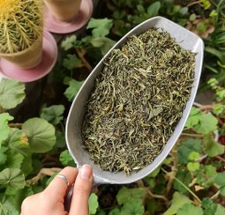 تصویر تره کوهی(سیرموک) 