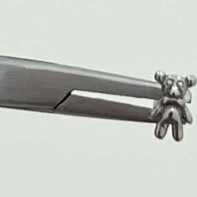 تصویر پیرسینگ تدی (خرس) 