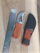 تصویر تیزی وارداتی 