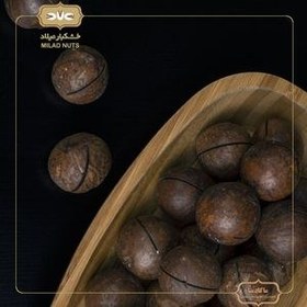 تصویر ماکادمیا Macadamia