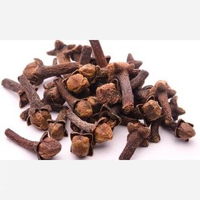 تصویر میخک با کیفیت عـــــالـــــــی 