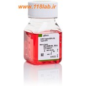تصویر تریپسین، Trypsin-EDTA (0.25%) گیبکو (Gibco) کد 25200056 Gibco™ Trypsin-EDTA (0.25%), phenol Catalog number: 25200056