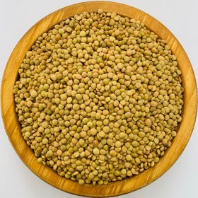 تصویر عدس ریز ۱ کیلوگرم 