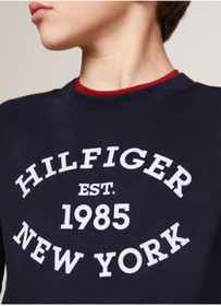 تصویر سویشرت مردانه برند تامی هیلفیگر Tommy Hilfiger اصل 5003171216 