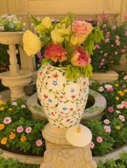 تصویر جینجر آکوا 