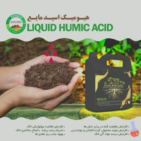 تصویر کود هیومیک اسید مایع تتاکو مدل GOLD-HUMORE حجم 5 لیتر بسته 4 عددی 