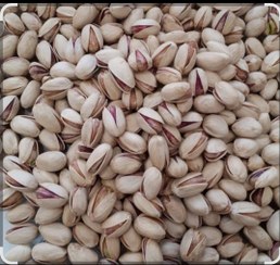 تصویر پسته احمدآقایی 