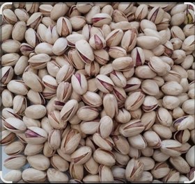 تصویر پسته احمدآقایی 