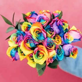 تصویر گل رز هفت رنگ 