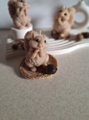 تصویر سنجاب 