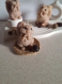 تصویر سنجاب 