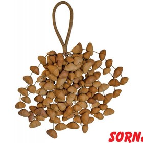 تصویر شیکر TERRE Seedshaker XXL Chacha 