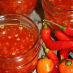 تصویر سس فلفل تخمیر شده SOS FILFIL TAKHMIRI