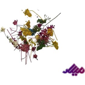 تصویر گل خشک لئوناردو G108 