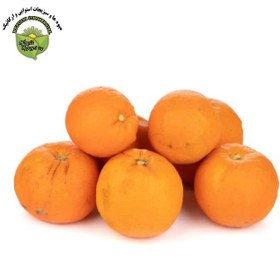 تصویر پرتقال جنوب 