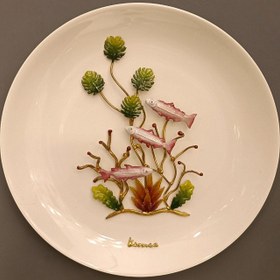 تصویر دیوارکوب بشقابی 