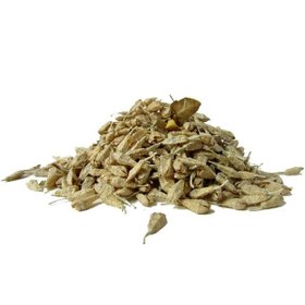 تصویر گل سنجد (شکوفه ) کد 178و103 