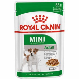 تصویر پوچ سگ بالغ نژاد کوچک رویال کنین 85 گرم Royal Canin Mini Adult 85g