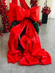 تصویر پاپیون بزرگ دوقلو 