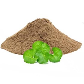 تصویر گیاه آب بشقابی 