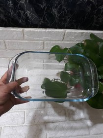 تصویر مرغ خوری بلور کاوه 