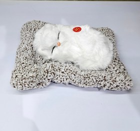 تصویر گربه ناز خوابیده روی تشک موزیکال (سایز 