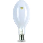 تصویر لامپ Blended Mercury Vapour Lamp NBM-160 شعاع 