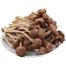 تصویر قارچ شیتاکه دمدار 