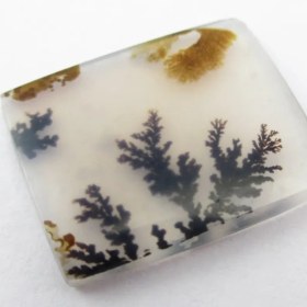 تصویر سنگ شجر کد 2296 