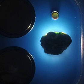 تصویر راف جواهری دمانتوئید k569 