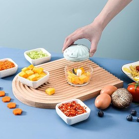 تصویر مینی خردکن وارداتی 