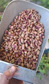 تصویر مغز پسته درجه۱ گلدار 