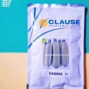 تصویر بذر کدو خورشتی سابینا (Sabina F1) 