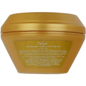 تصویر ماسک مو تقویت و نرم کننده عمیق موهای بلوند Flashy Blonde 300ml فولیکا 