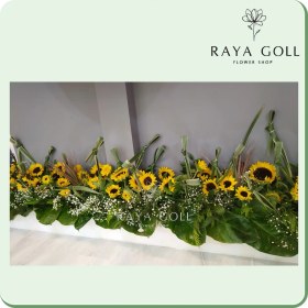 تصویر ریسه گل آفتابگردان 