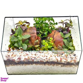 تصویر تراریوم مدل جاوا 