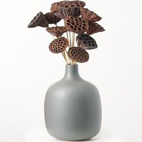 تصویر غلاف خشک نیلوفر آبی 