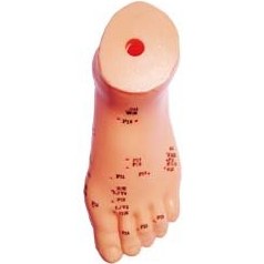 تصویر مولاژ طب سوزنی پا (مخصوص پای کوچک) 